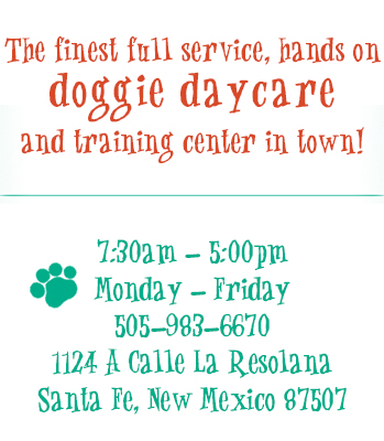 Lucky Dawg Daycare Santa Fe Hours