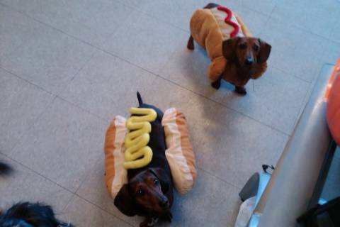 Mustard or Ketchup?