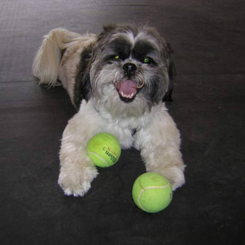 These are my balls!